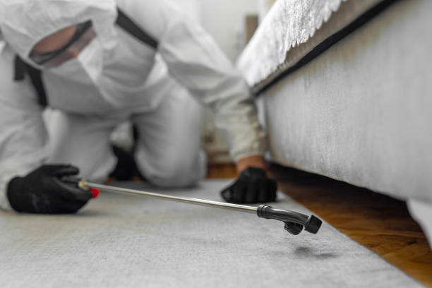 Professional Bed Bug Control technician working in Somerset County County, ME